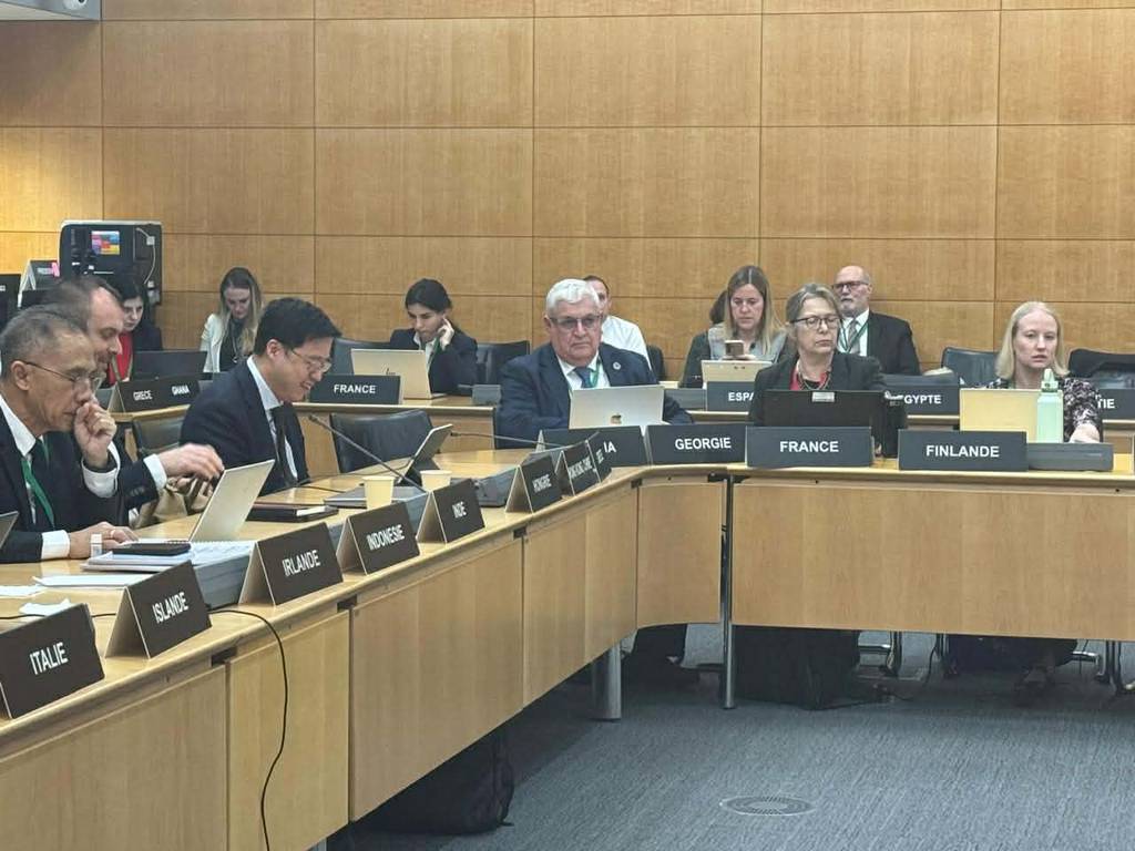 დავით ონოფრიშვილმა საფრანგეთში „დაზღვევისა და პენსიების სამუშაო ჯგუფის“ შეხვედრებში მიიღო მონაწილეობა