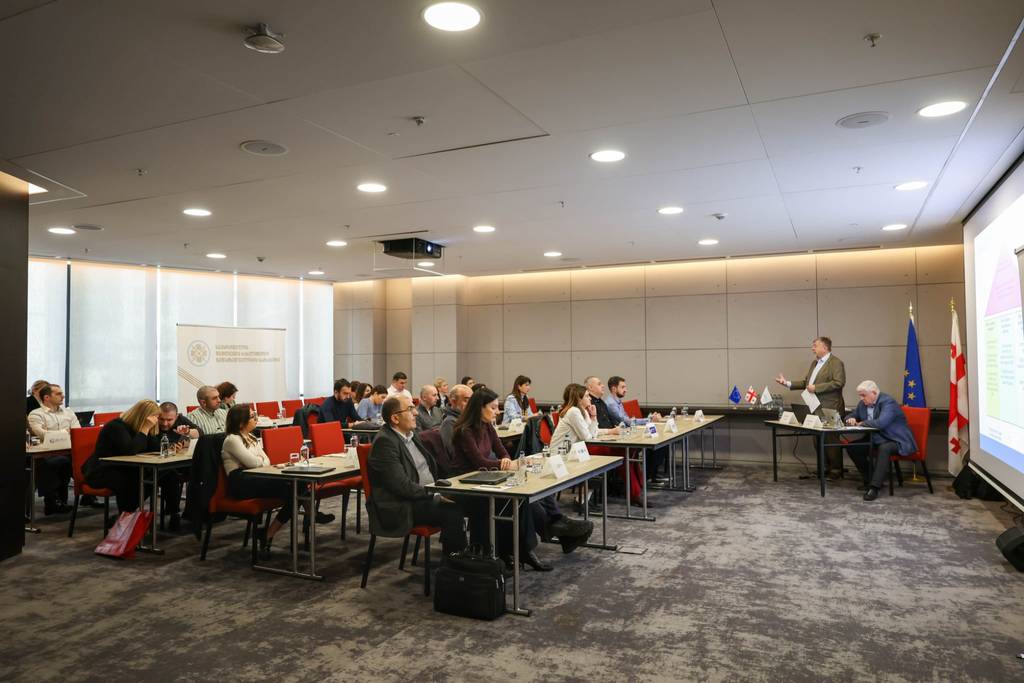 Professor Karel Van Hulle held working meeting with the Georgian insurance undertakings