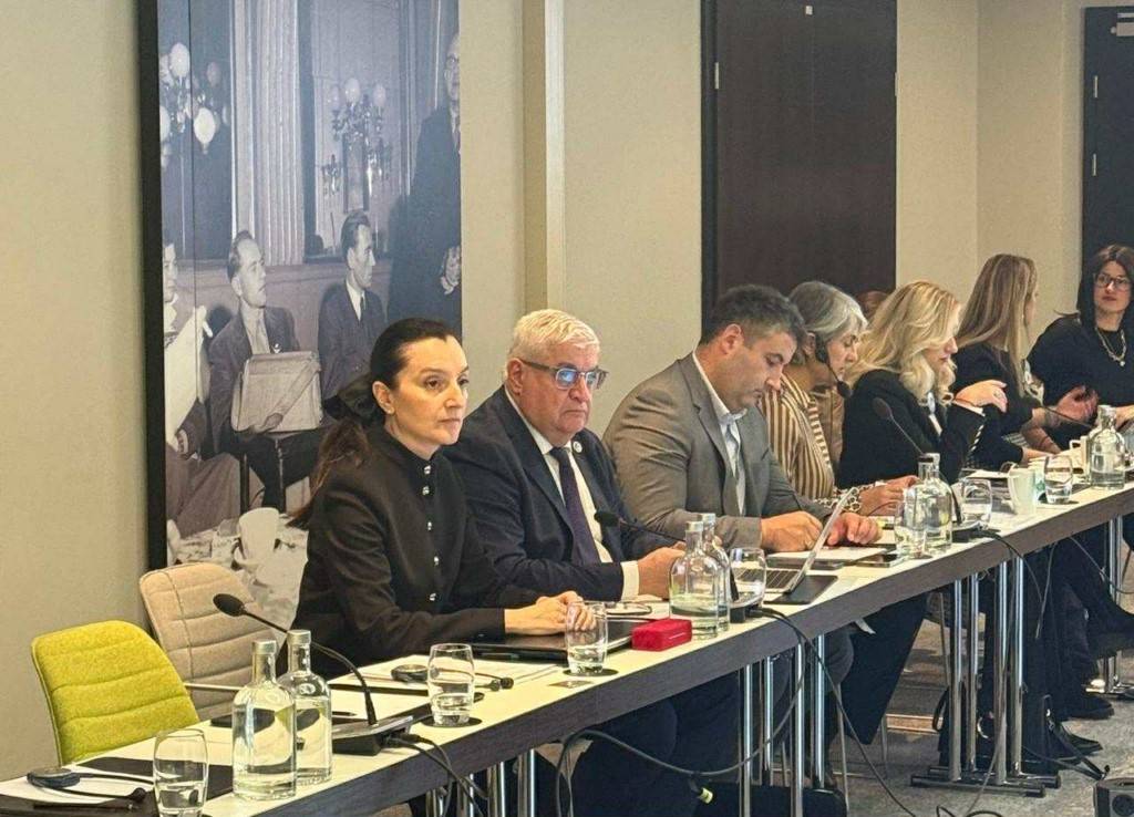 დავით ონოფრიშვილმა ვენაში დაზღვევის ზედამხედველთა მაღალი დონის შეხვედრაში მიიღო მონაწილეობა