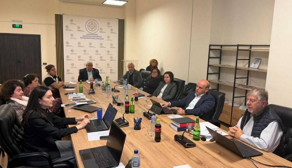 Professor Karel Van Hulle held working meeting with Insurance State Supervision Service of Georgia